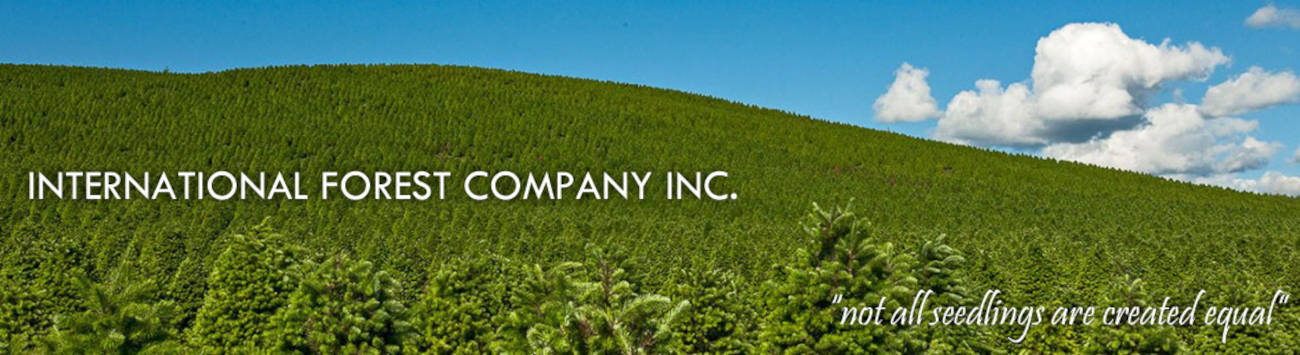 Featured Image for INTERNATIONAL FOREST COMPANY INC